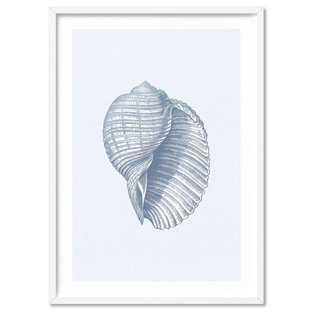 Sea Shell Coastal Poster. Hamptons Scotch Bonnet Shell Blue – Print and ...