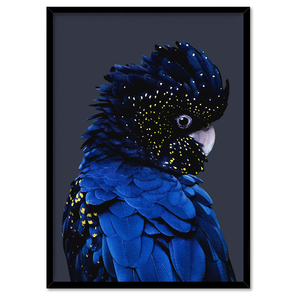 Black Cockatoo (indigo tones) - Art Print, Poster, Stretched Canvas, or Framed Wall Art Print, shown in a black frame