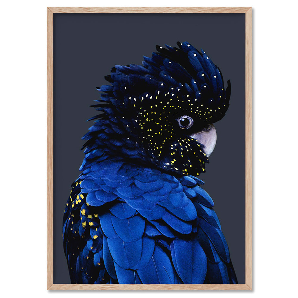 Black Cockatoo (indigo tones) - Art Print, Poster, Stretched Canvas, or Framed Wall Art Print, shown in a natural timber frame