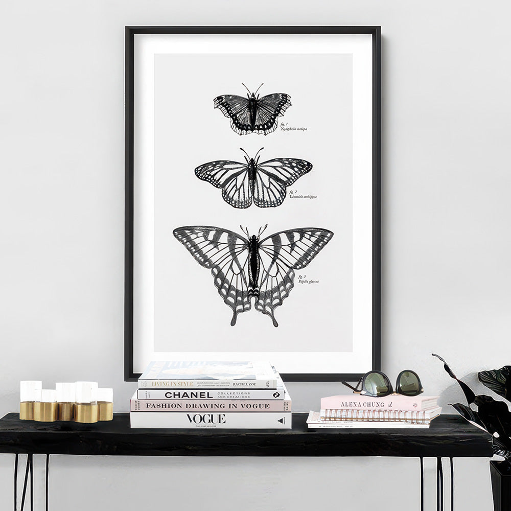 Butterflies Entomology / Mourning cloak, Viceroy & Eastern Tiger Swallowtail - Art Print, Poster, Stretched Canvas or Framed Wall Art Prints, shown framed in a room