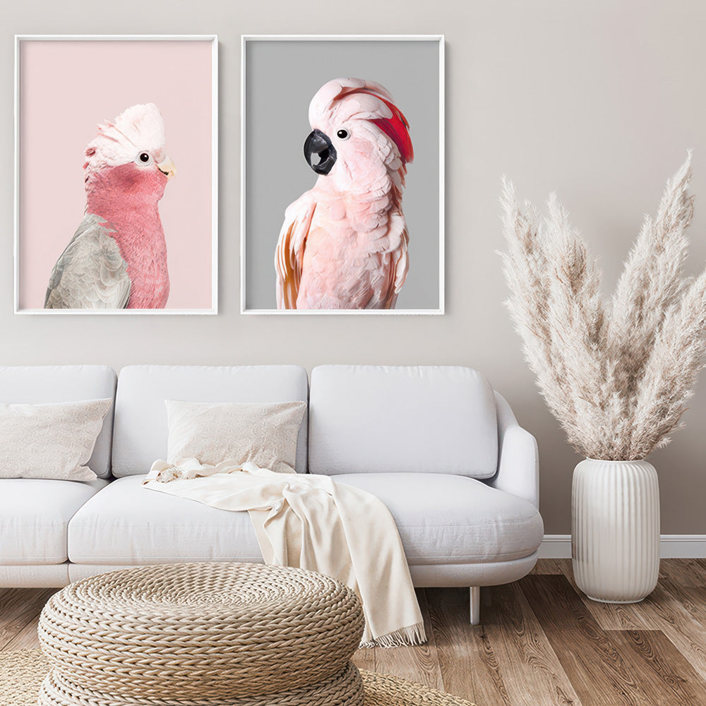 Salmon Crested Cockatoo II - Art Print, Poster, Stretched Canvas or Framed Wall Art, shown framed in a home interior space