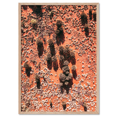 Red Earth Aerial II - Art Print by Beau Micheli, Poster, Stretched Canvas, or Framed Wall Art Print, shown in a natural timber frame