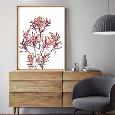 Kangaroo Paw in Pink - Art Print, Poster, Stretched Canvas or Framed Wall Art Prints, shown framed in a room