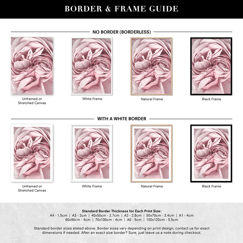 Peony Dance II - Art Print, Poster, Stretched Canvas or Framed Wall Art, Showing White , Black, Natural Frame Colours, No Frame (Unframed) or Stretched Canvas, and With or Without White Borders