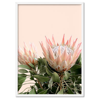 Protea Duo en Blush - Art Print, Poster, Stretched Canvas, or Framed Wall Art Print, shown in a white frame
