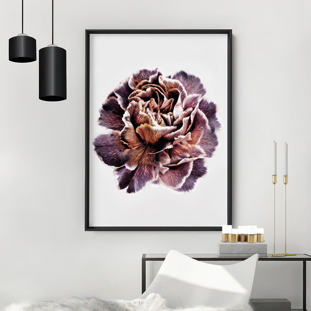 Floral Pose, Close up detail of Flower - Art Print, Poster, Stretched Canvas or Framed Wall Art Prints, shown framed in a room