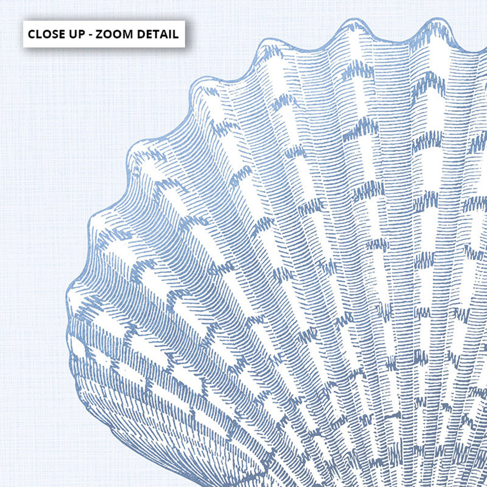Scallop Shell Poster Modern Sea Shell Poster. Lions Paw Scallop. Hamptons Art – Print and ...