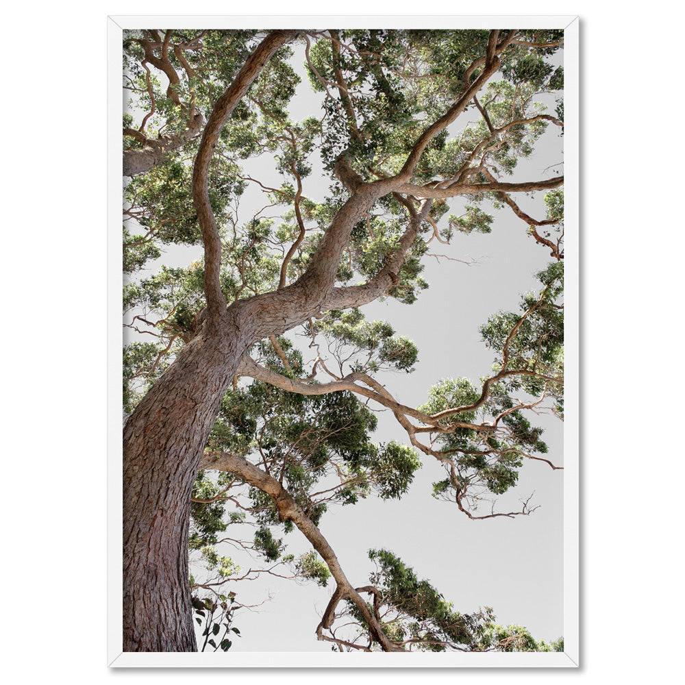 Majestic Gum II - Art Print, Poster, Stretched Canvas, or Framed Wall Art Print, shown in a white frame