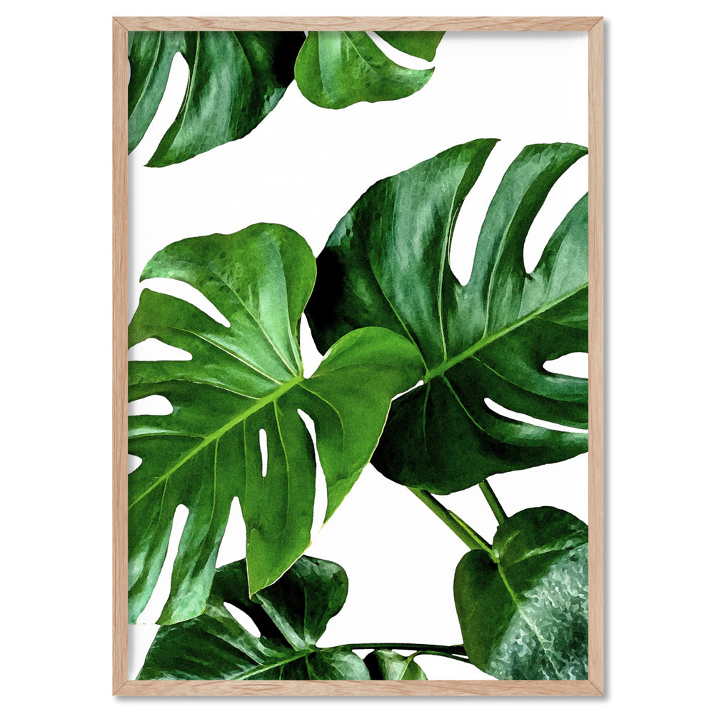 philodendron gloriosum gelbe blätter Philodendron gloriosum variegata