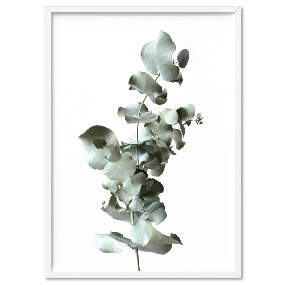 Eucalyptus Gum Leaves III  - Art Print, Poster, Stretched Canvas, or Framed Wall Art Print, shown in a white frame
